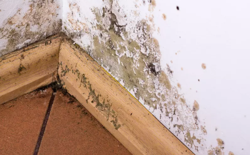 uszkodzenia materiałów budowlanych