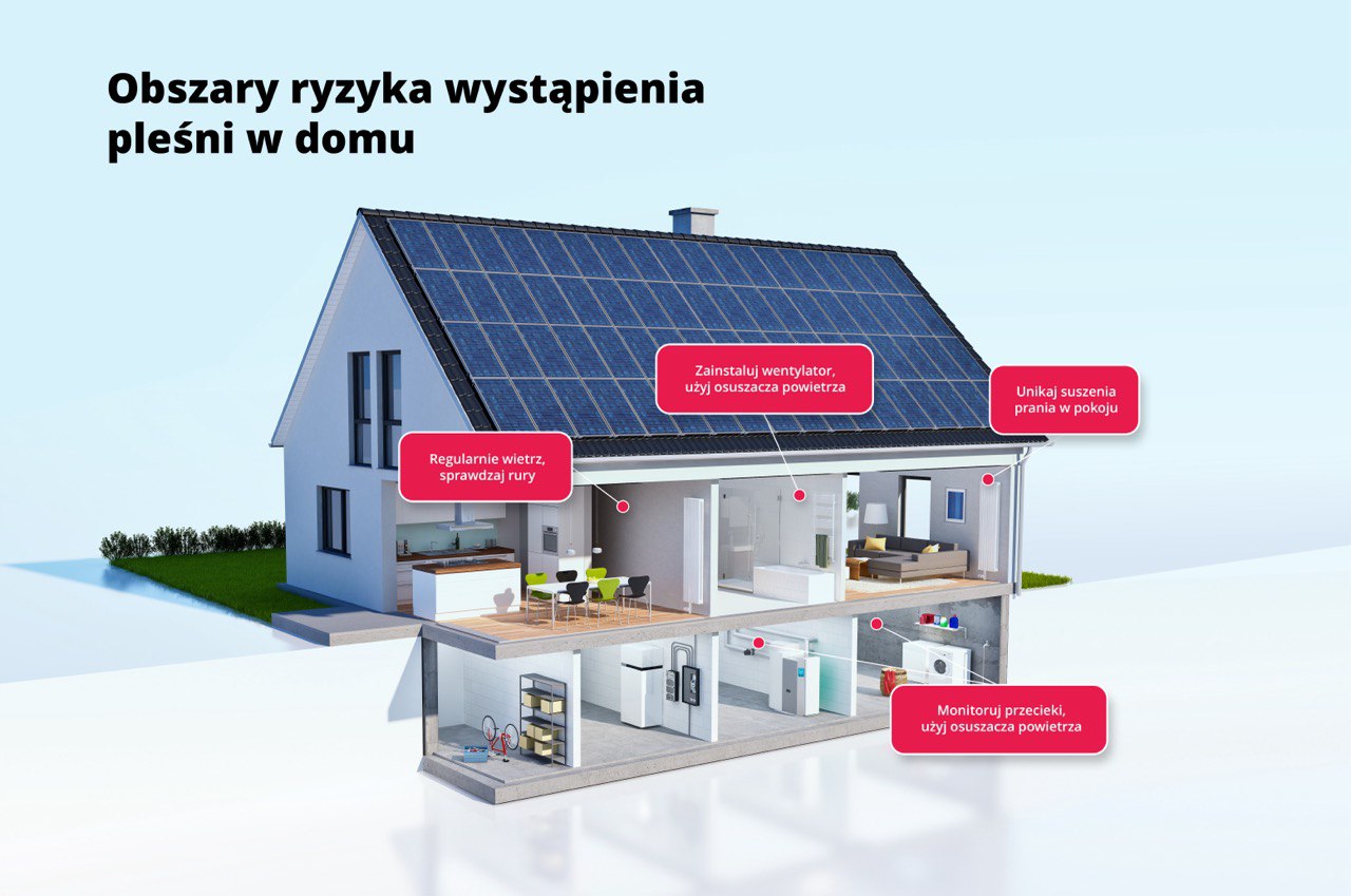 jak usunac grzyb i plesn w domu obszary ryzyka