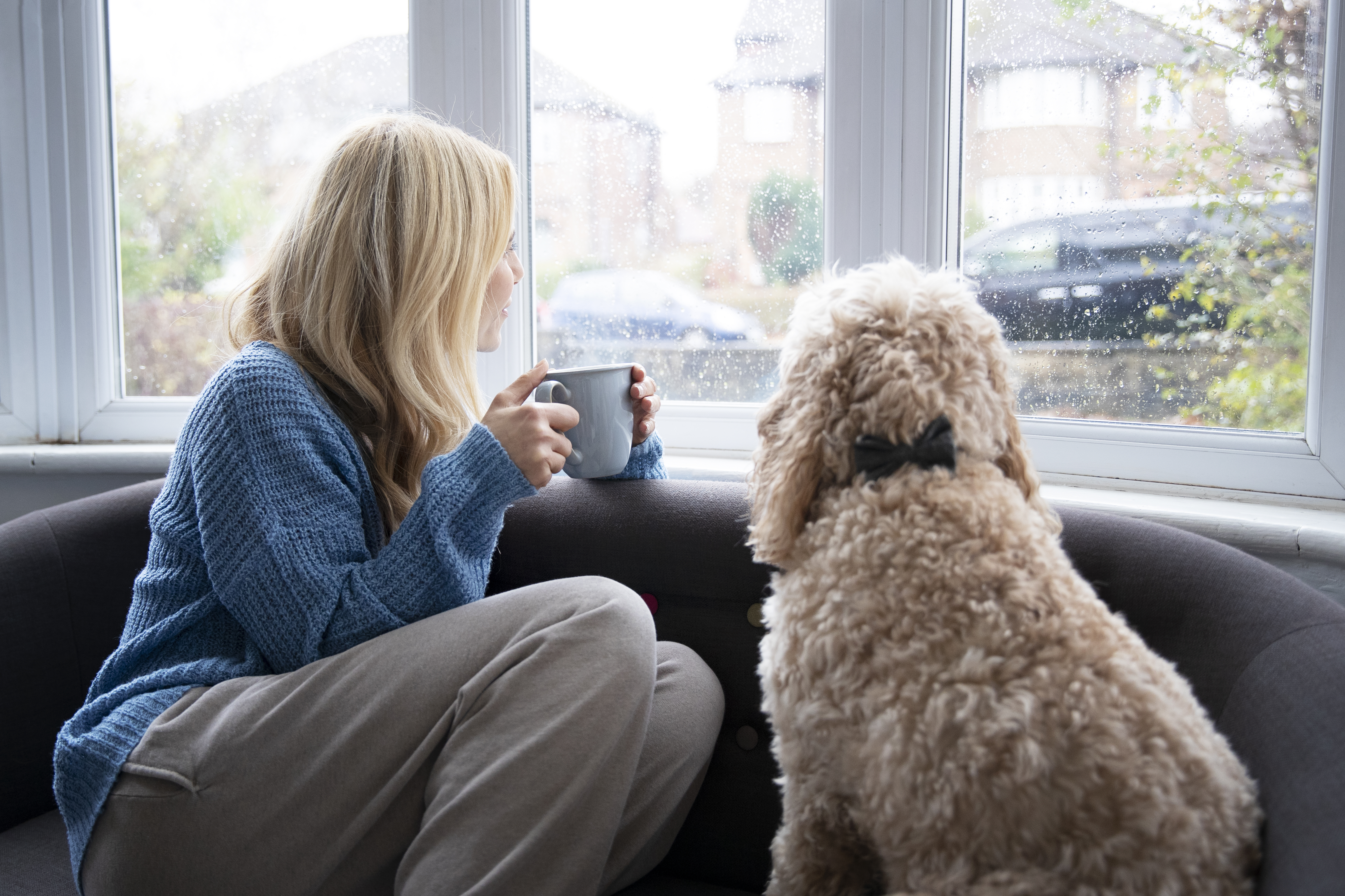 Optymalna wilgotność w mieszkaniu
