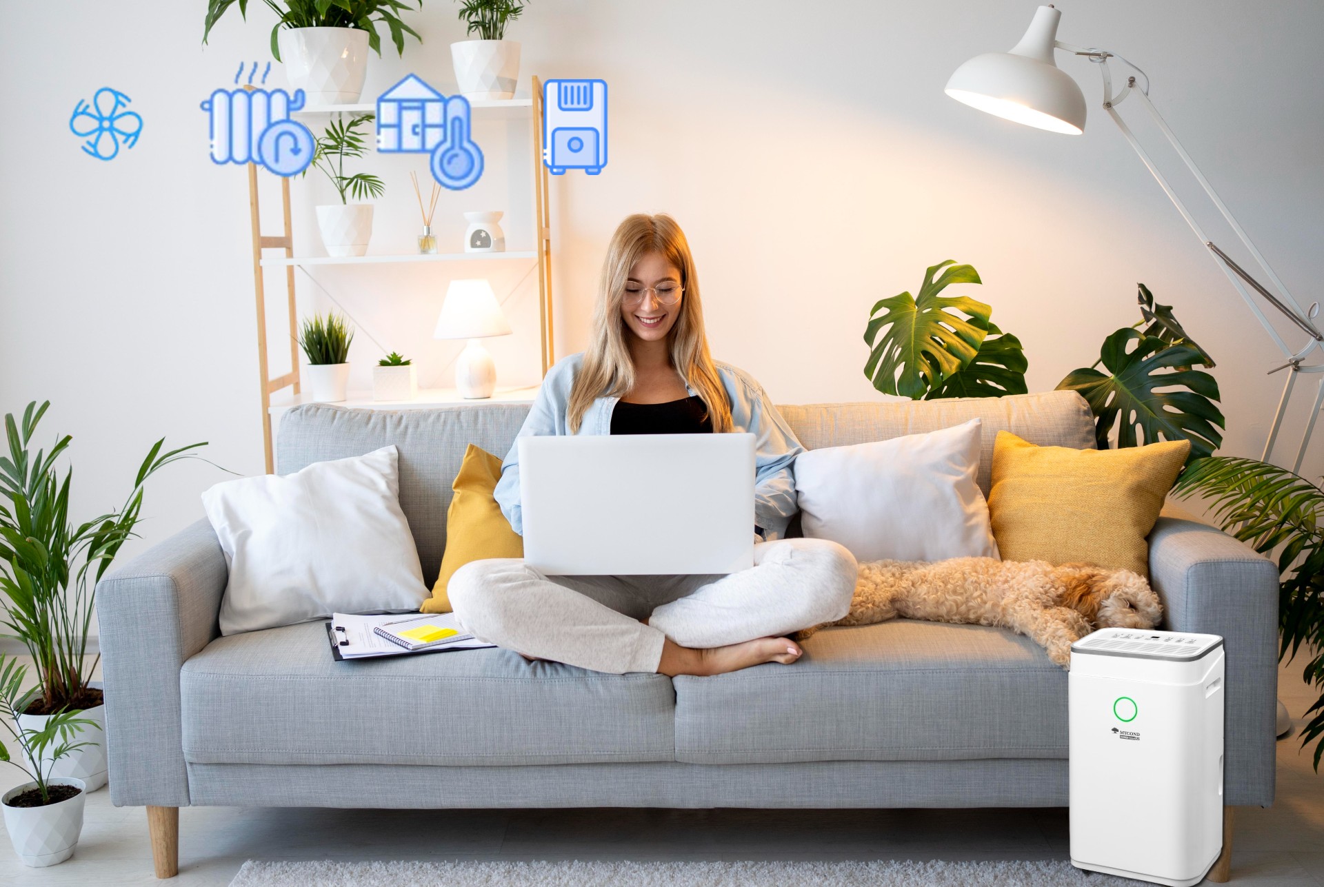 Połącz osuszacz powietrza, wentylację i pielęgnację domu, aby uzyskać idealny mikroklimat!