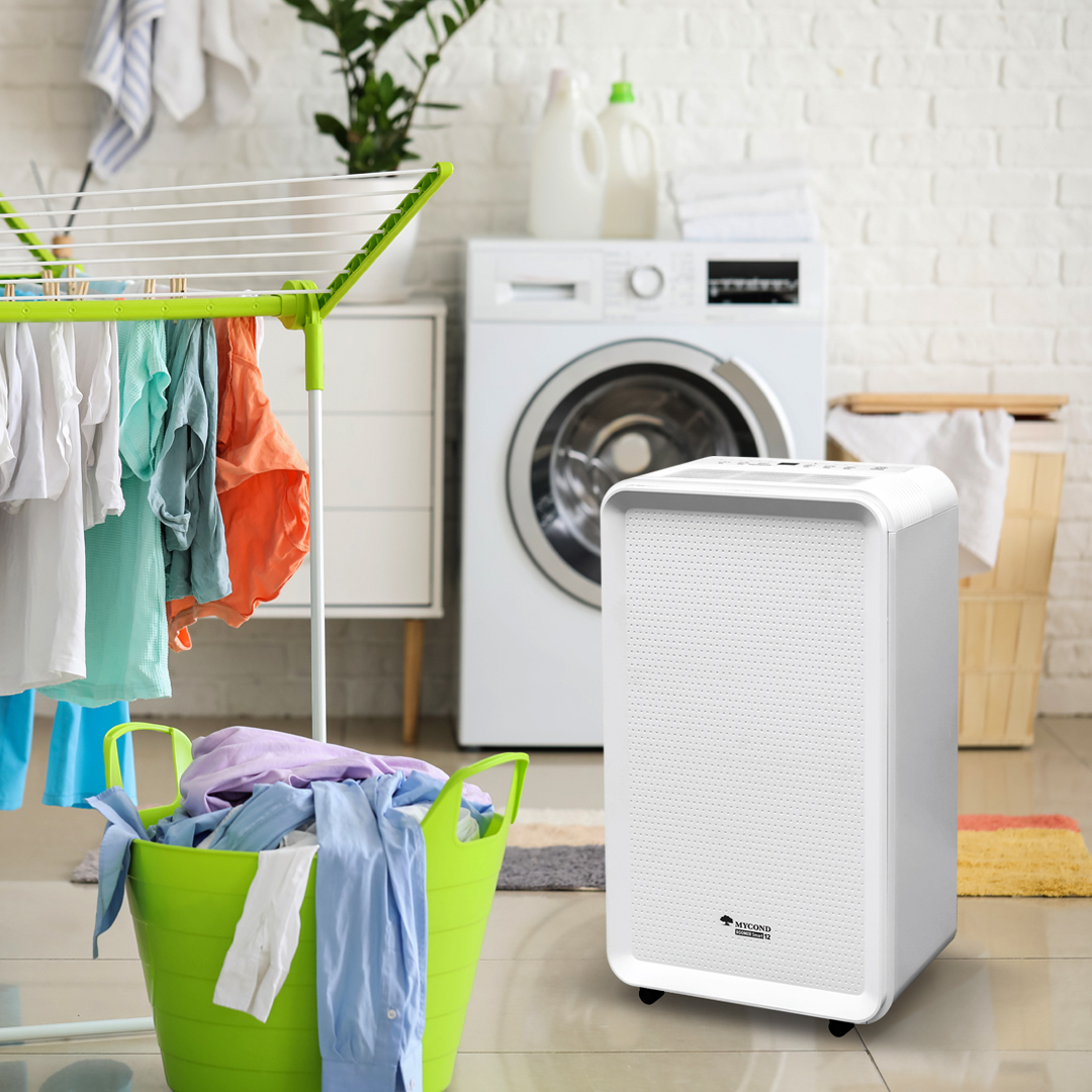 osuszacz powietrza roomer smart 12