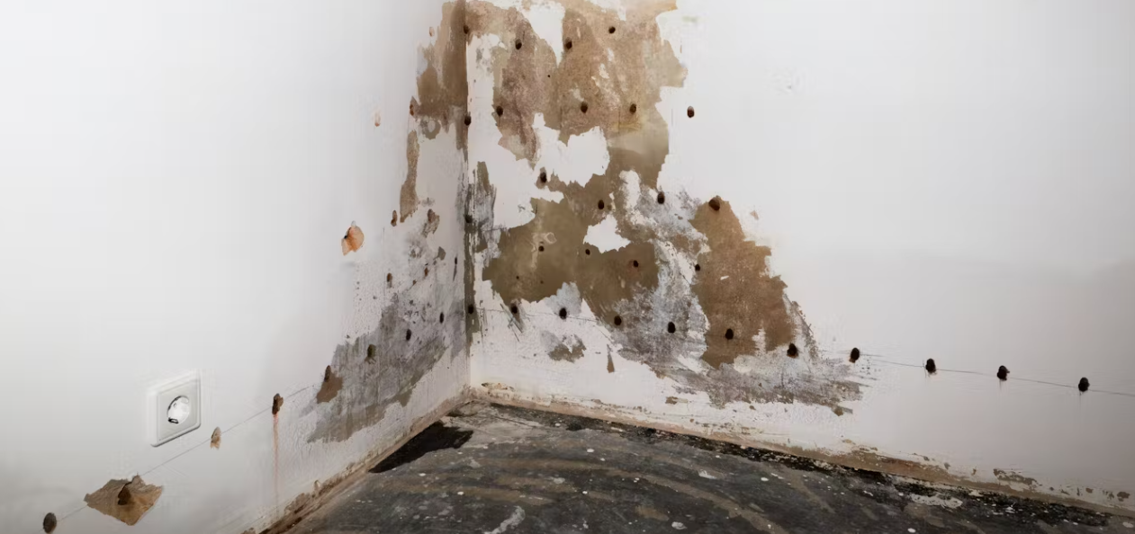 Iniekcje krystaliczne