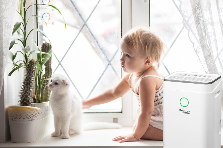 idealny osuszacz powietrza