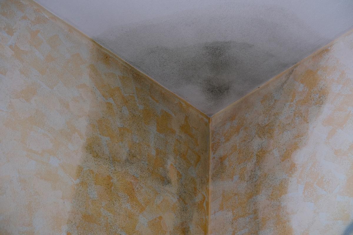 Zalanie sufitu w mieszkaniu