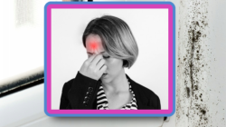 Grzyb w domu a zdrowie: Jak pleśń wpływa na nasze zdrowie i jak się jej pozbyć?